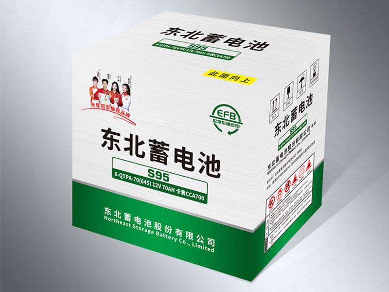 1761706520147112.jpg s95-2.jpg